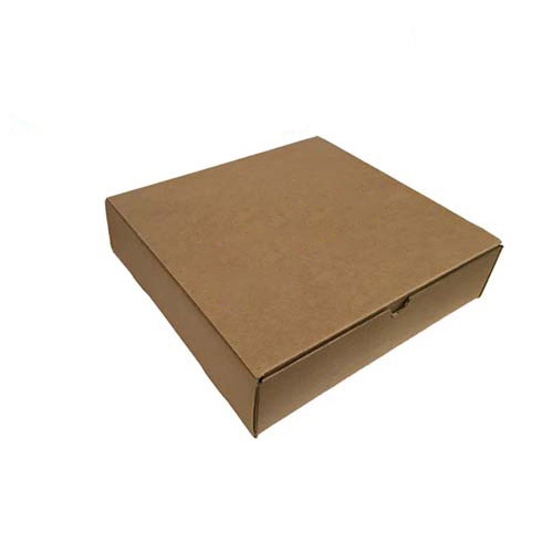 13x13x2 Personalized Literature Mailer