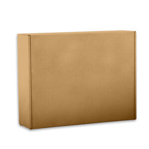 12x12x3 Personalized Literature Mailer