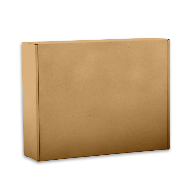 13x10x4 Personalized Literature Mailer